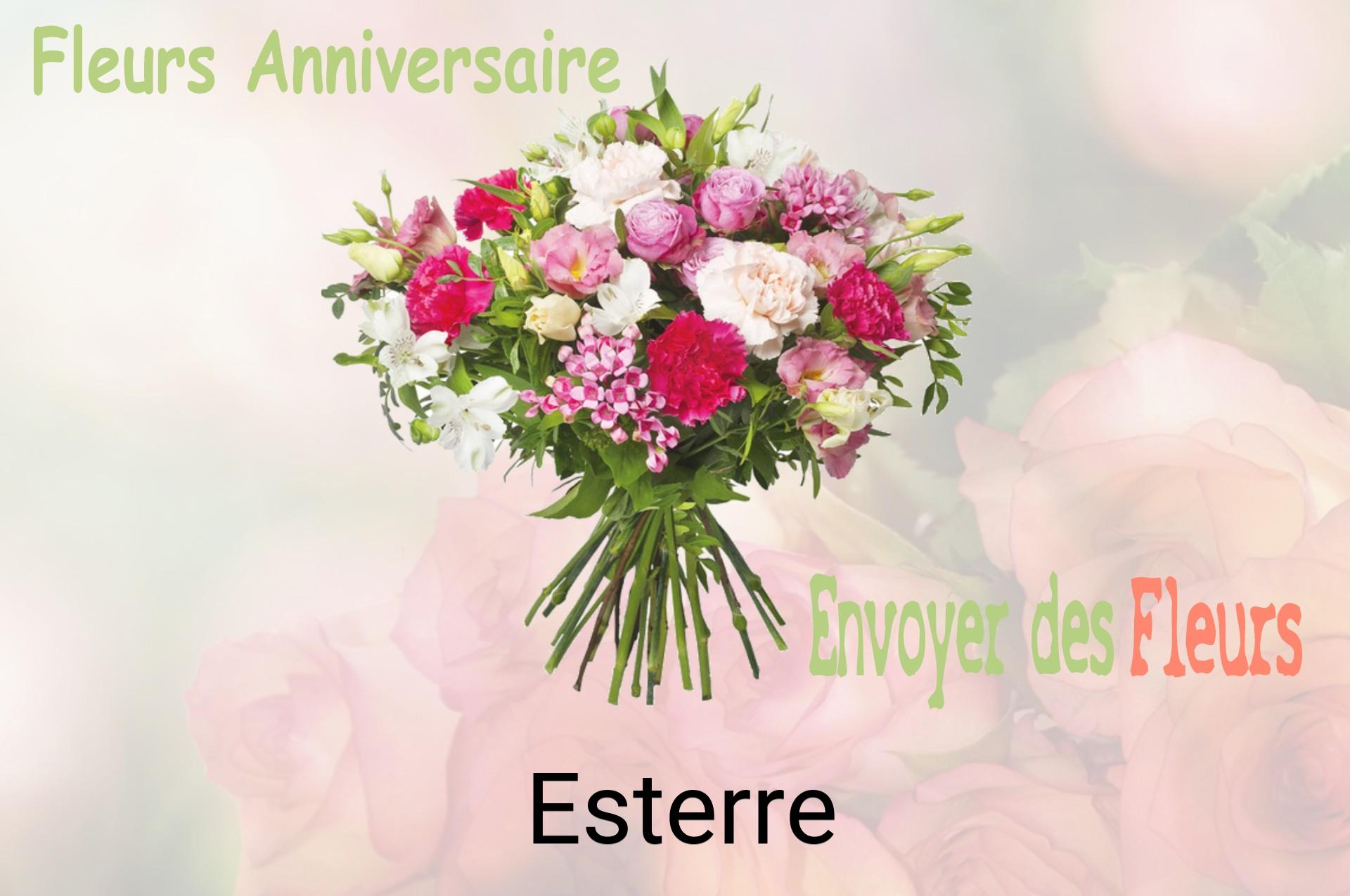 Bouquet de fleurs d’anniversaire livré à Esterre