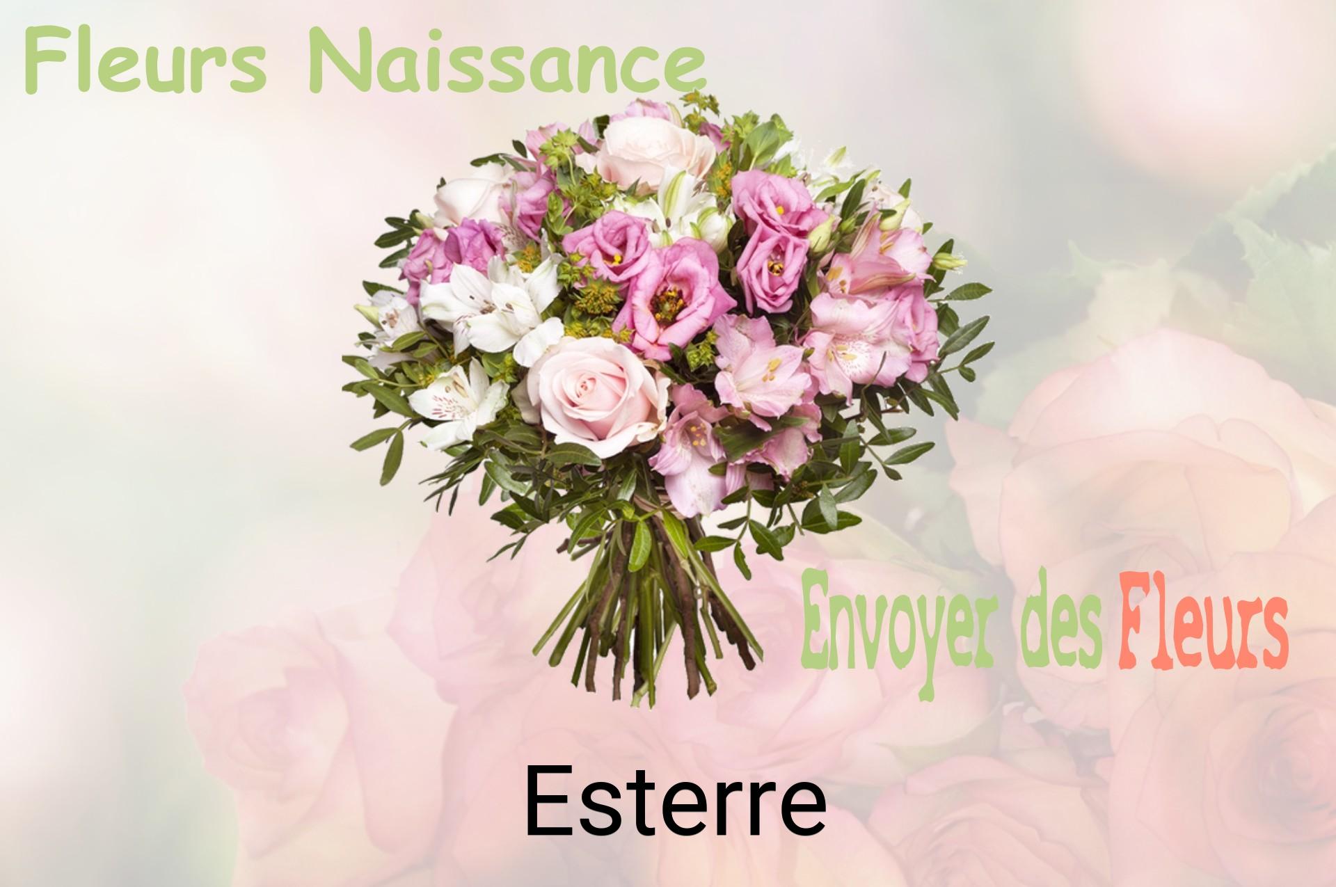 Bouquet de fleurs de naissance livré à Esterre