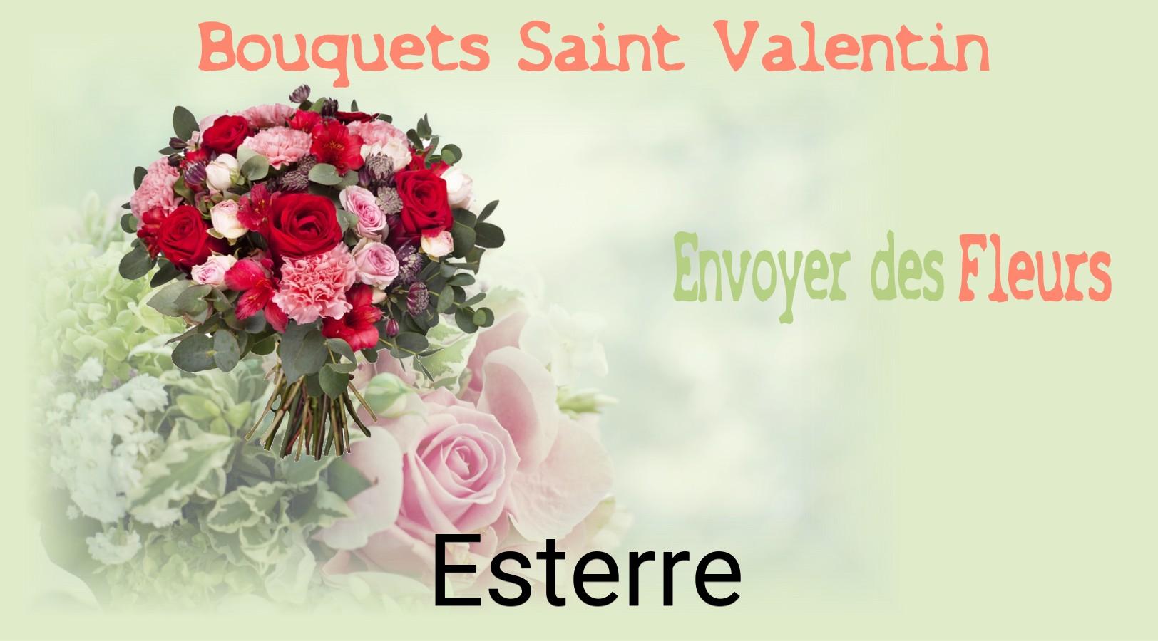 Roses de Saint-Valentin livrées à Esterre