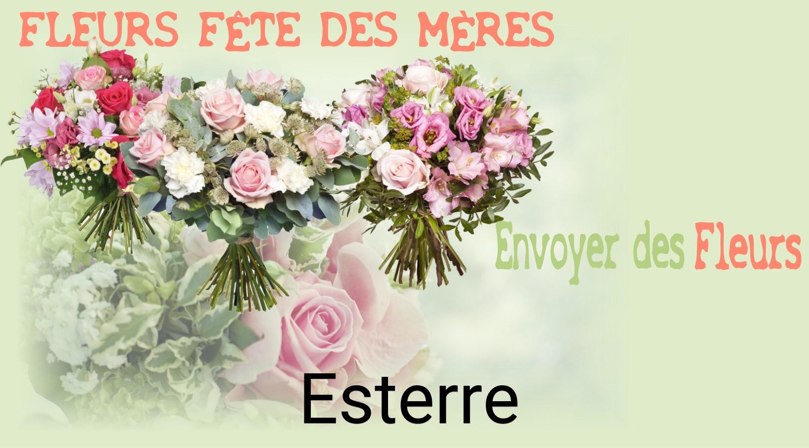 Bouquet de Fête des Mères livré à Esterre